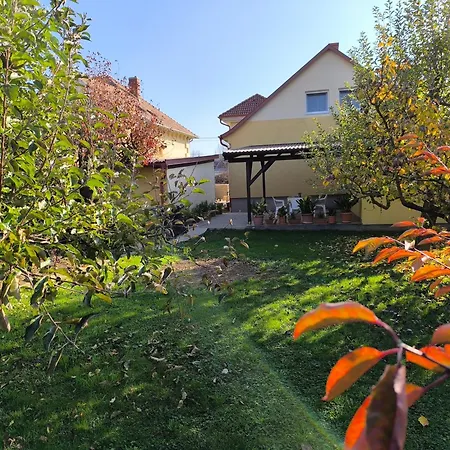 Nemeth Nyaralo 1 *